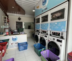 K9 Laundry