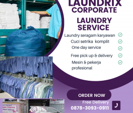 Laundrix laundry